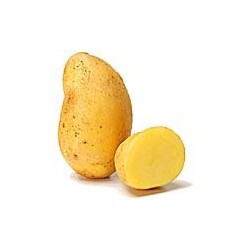 Bio Kartoffeln