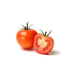 Bio Tomaten