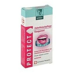 PROTECT Zahnfleischpflege Kaugummi 16 Stk