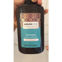 ArganiCare Shampoo Sodium Chloride Free For Dry & Damaged Hair