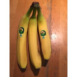 TUCÁN COLUMBIA Bananen
