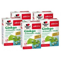 Doppelherz Ginkgo + B-Vitamine (5 x 40 Kapseln) von Doppelherz