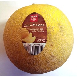 REWE Beste Wahl Galia-Melone
