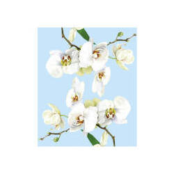 Cedon Brillenputztuch ´´Putzmunter´´, florales Muster, 15 x 18 cm