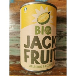 Bio Jackfruit in Salzlake