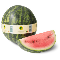 Bio Wassermelone mini