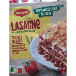 Maggi Lasagne-Fix