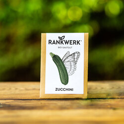 Rankwerk Zucchini Bio-Saatgut