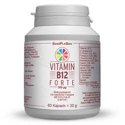 Vitamin B12 FORTE 500 µg Methylcobalamin