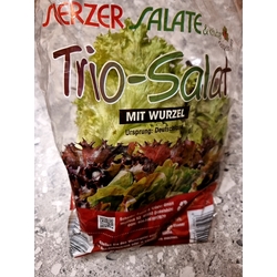 Trio-Salat