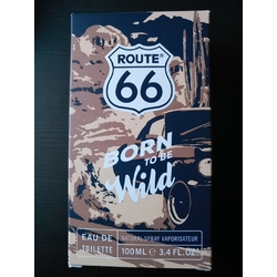 ROUTE 66 - Born to be wild