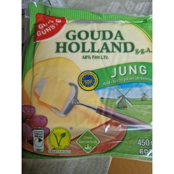 Gouda Holland Jung