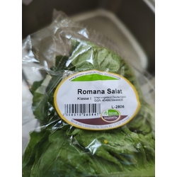 Romana Salat