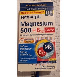 Magnesium 500+ B12