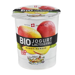 Molkerei Biedermann Bio Jogurt lactosefrei Mango