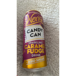Wonka Candy Can Caramel Fudge